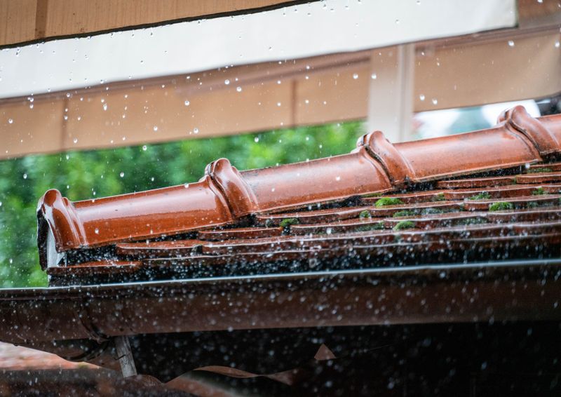 Roof Weatherproofing in Metairie