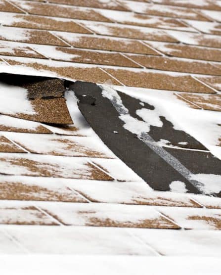 winter damaged roof shingle