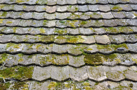 New Orleans home with visible dark black streaks of algae running down asphalt shingle roof surface