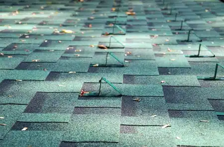 Aged asphalt shingles showing curling edges and granule loss on a New Orleans residential roof after 15 years