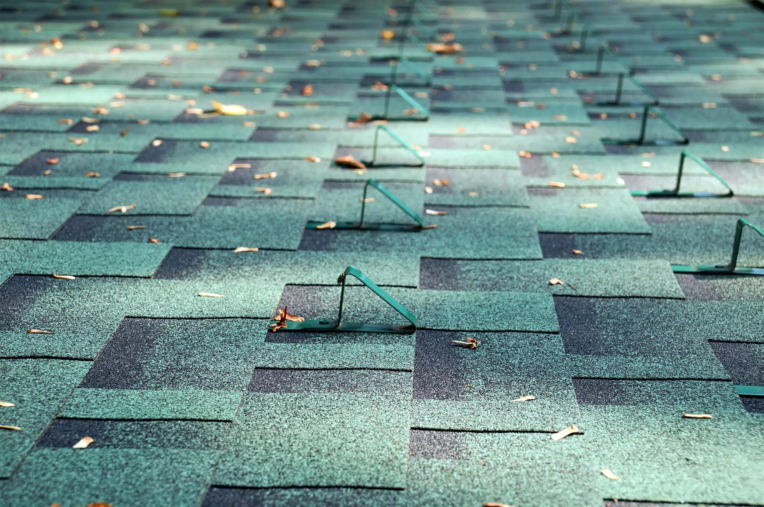 Aged asphalt shingles showing curling edges and granule loss on a New Orleans residential roof after 15 years